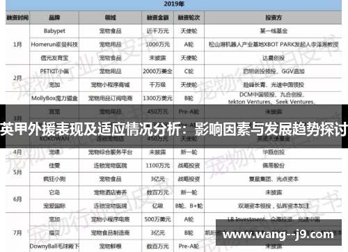 英甲外援表现及适应情况分析：影响因素与发展趋势探讨