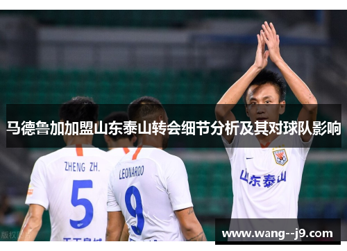 马德鲁加加盟山东泰山转会细节分析及其对球队影响