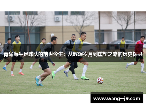 青岛海牛足球队的前世今生:从辉煌岁月到重塑之路的历史探寻 青岛海牛足球队的前世今生:从辉煌岁月到重塑之路的历史探寻