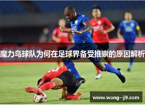 魔力鸟球队为何在足球界备受推崇的原因解析